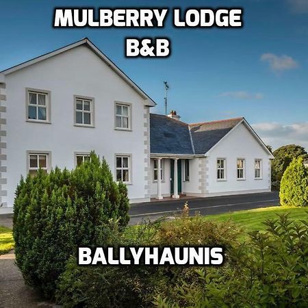 Mulberry Lodge Guest House Балихонъс Екстериор снимка